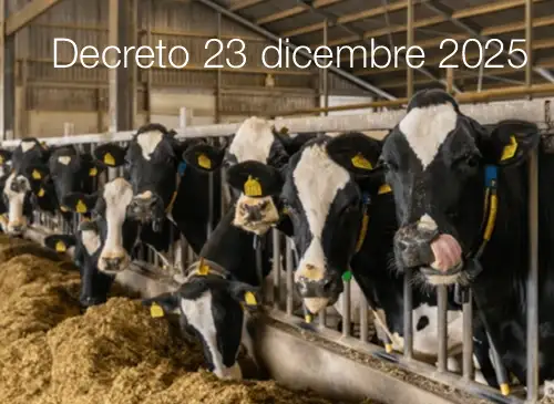 Decreto 23 dicembre 2025